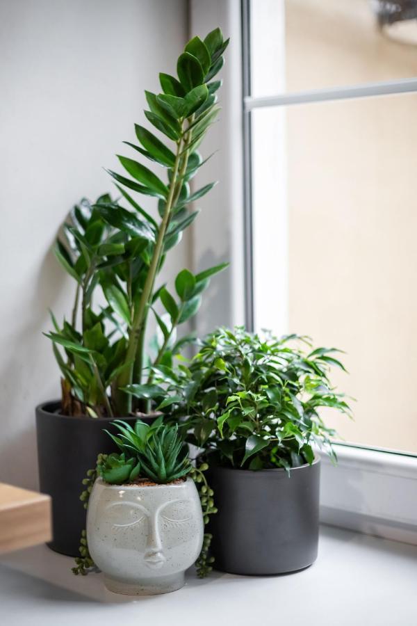 #Stayhere - Cozy 1Bdr Apartment Vilnius Old Town ภายนอก รูปภาพ